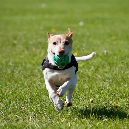 Casa Lula 3 Pendueles Ar-685-as